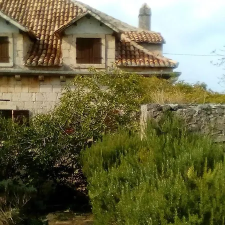 House With A Parking Space Bobovisca, Brac - 11435 Dom wakacyjny